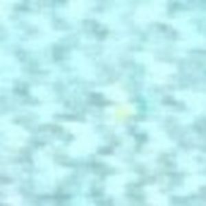 Meet your Posher, Lily